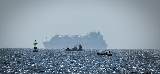 shutterstock_1528469570